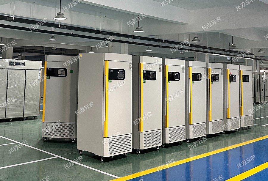 1701854135251610.jpg 云农6.jpg